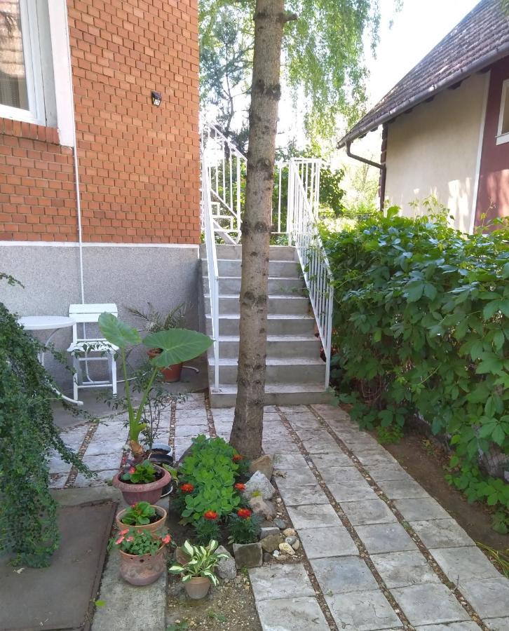 Sandrea Subotica